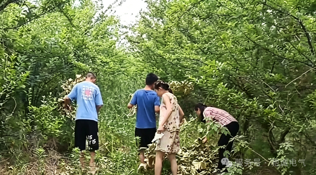 果香致端阳 善意汇星光|赏金国际向善而行 守护童心成长