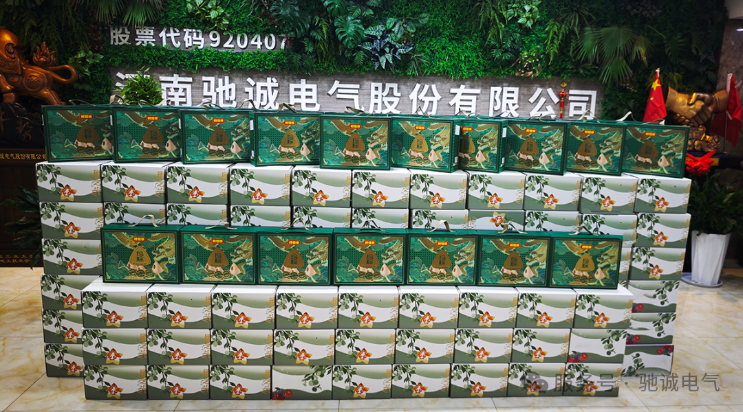 果香致端阳 善意汇星光|赏金国际向善而行 守护童心成长