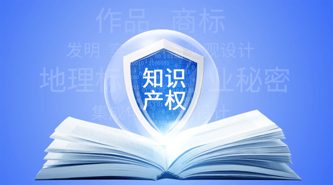 喜报！赏金国际顺利通过知识产权管理体系监督审核